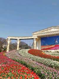 A Garden Wonderland of Whimsy and Adventure