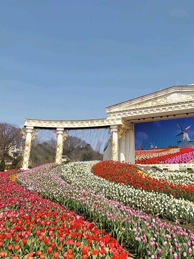 A Garden Wonderland of Whimsy and Adventure