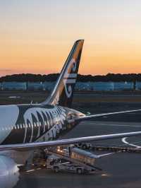 【ニュージーランド】快適な空の旅🇳🇿コルの翼と共に✈️
