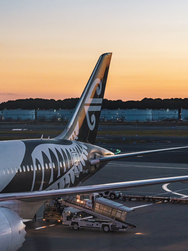 【ニュージーランド】快適な空の旅🇳🇿コルの翼と共に✈️
