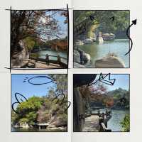 金灣金山公園：陽光下的自然☀️