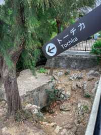 【沖縄】宜野湾市 見晴らしのいい展望台と沖縄の歴史が学べる穴場公園