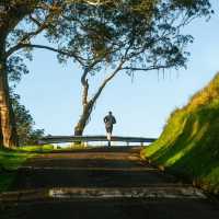 Lifestyle and Recreation