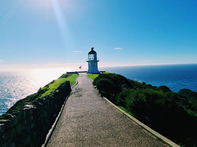 The Cape Reinga Lighthouse