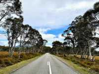 Franklin-Gordon Wild Rivers National Park