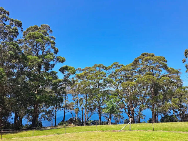 Port Arthur Historic Site