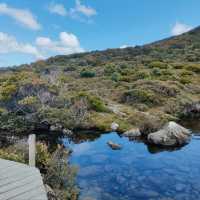 Hartz Mountains National Park