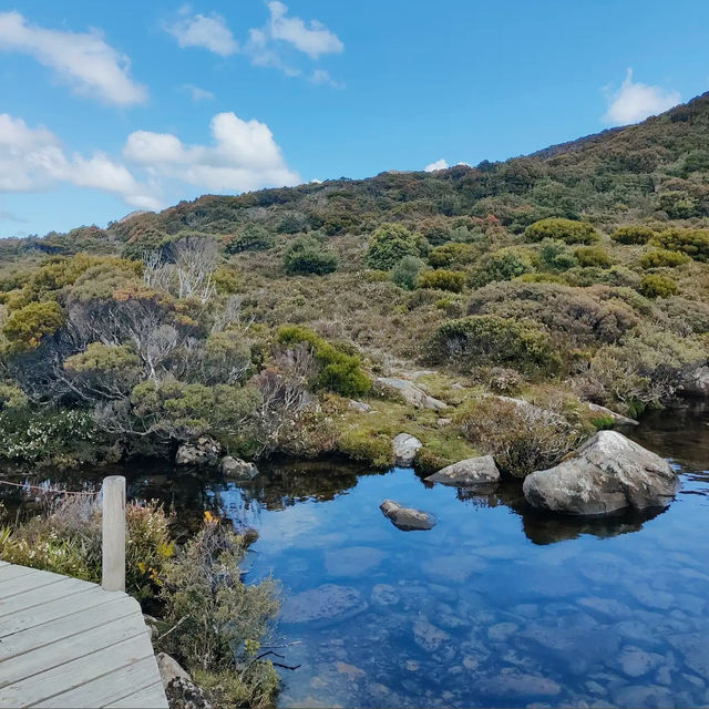 Hartz Mountains National Park