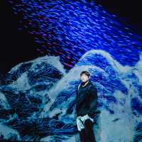 teamLab Borderless: