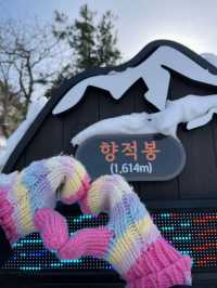 인생샷명소 겨울여행지