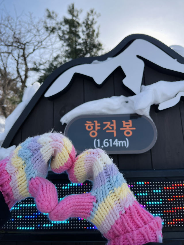 인생샷명소 겨울여행지
