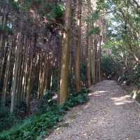 日本對馬島~離韓國最近的島嶼