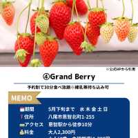 【 いちご狩り】大阪の車無しでいけるいちご狩りスポット5選