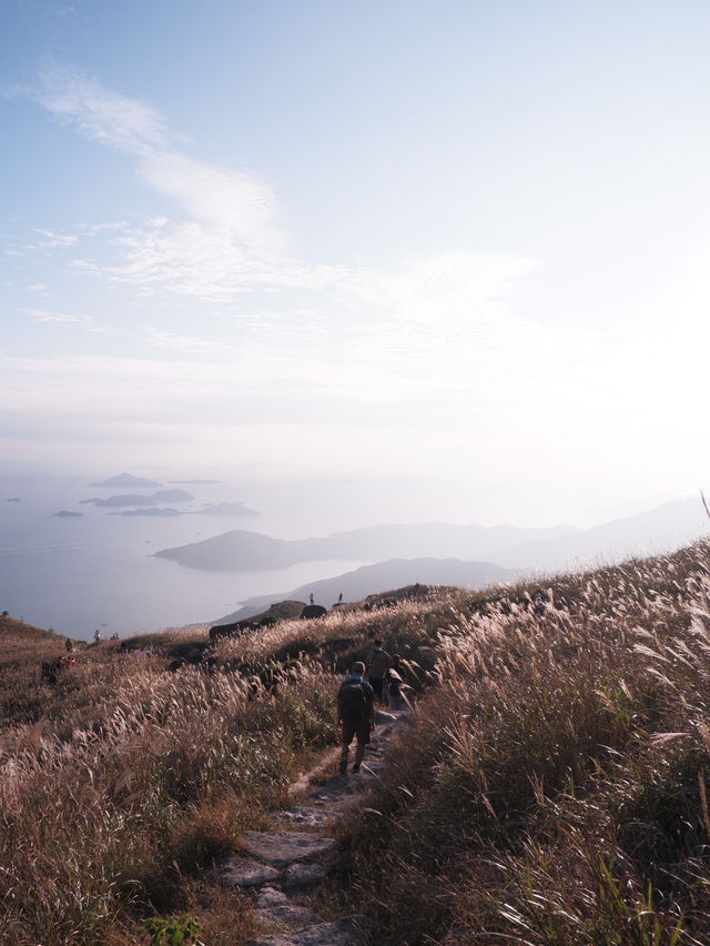 不會令人失望的山峰！