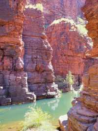 Awe-Inspiring Wilderness: My Adventure in Karijini National Park 