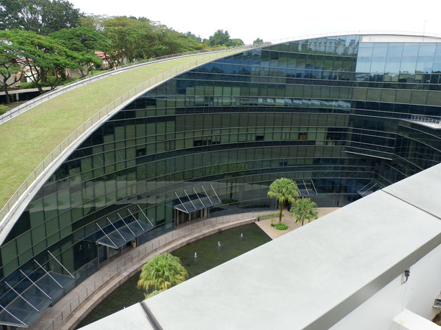 เดินเล่นถ่ายรูปที่มหาวิทยาลัย Nanyang