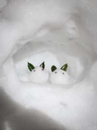 【石川】兼六園の夜間ライトアップ✨美しい雪吊り