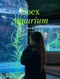 🇰🇷 Coex Aquarium, Seoul 🪼🐠🫧