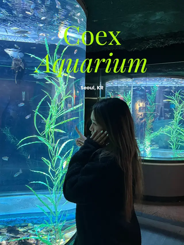 🇰🇷 Coex Aquarium, Seoul 🪼🐠🫧