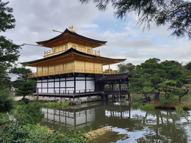 漫步金閣寺：靜謐與美的極致體驗