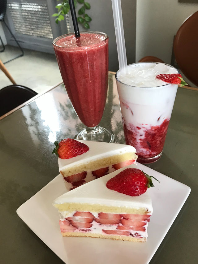 冬限定！苺ケーキが美味しすぎるカフェ