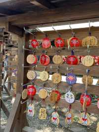 Shorinzan Daruma-ji วัดแห่งดารุมะ 🎏