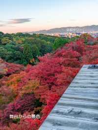 混んでいても行きたい京都の定番【清水寺】