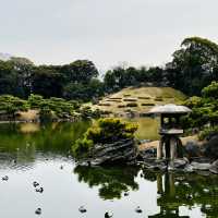 大濠公園·日本庭園-清幽小橋流水