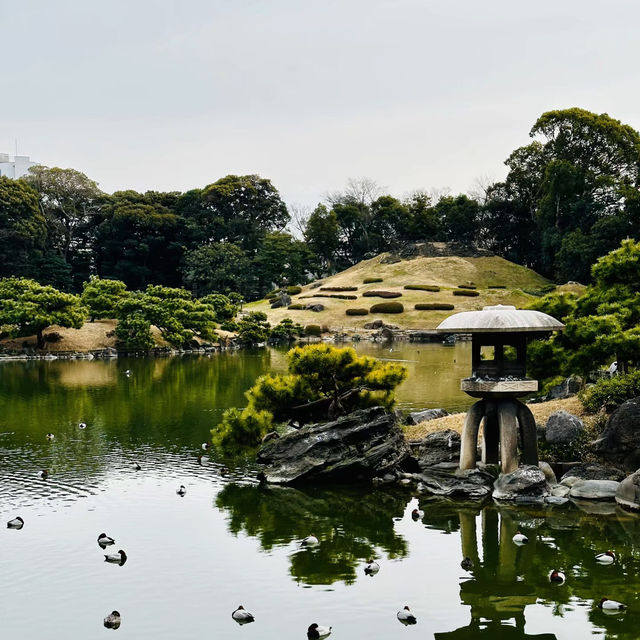 大濠公園·日本庭園-清幽小橋流水