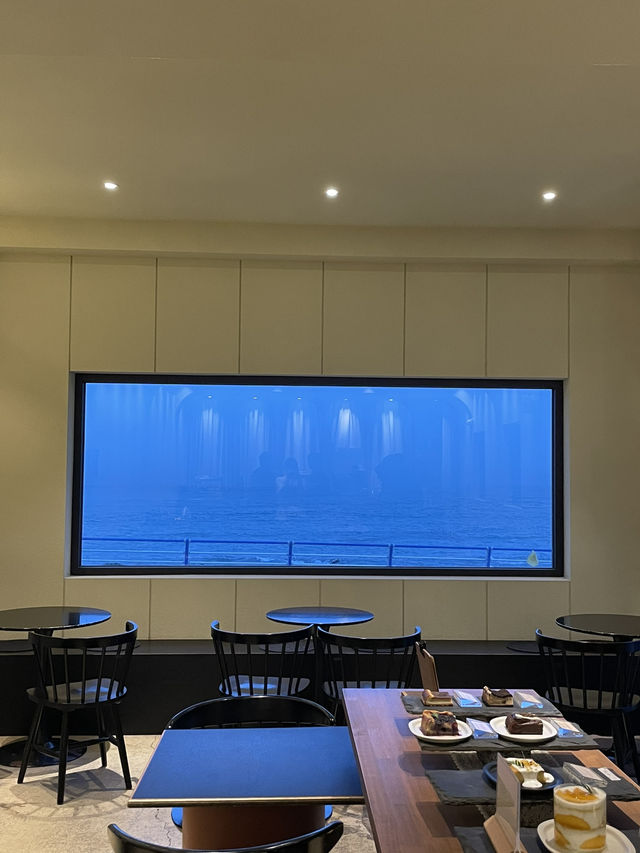 부산 비올때 가면 좋은 카페 덕미☕️