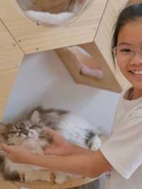 ถูกใจคนรักหมาแมว Zucca - The Pet Sanctuary & Cafe