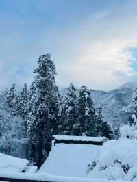 Yamadara & Ginzan Onsen