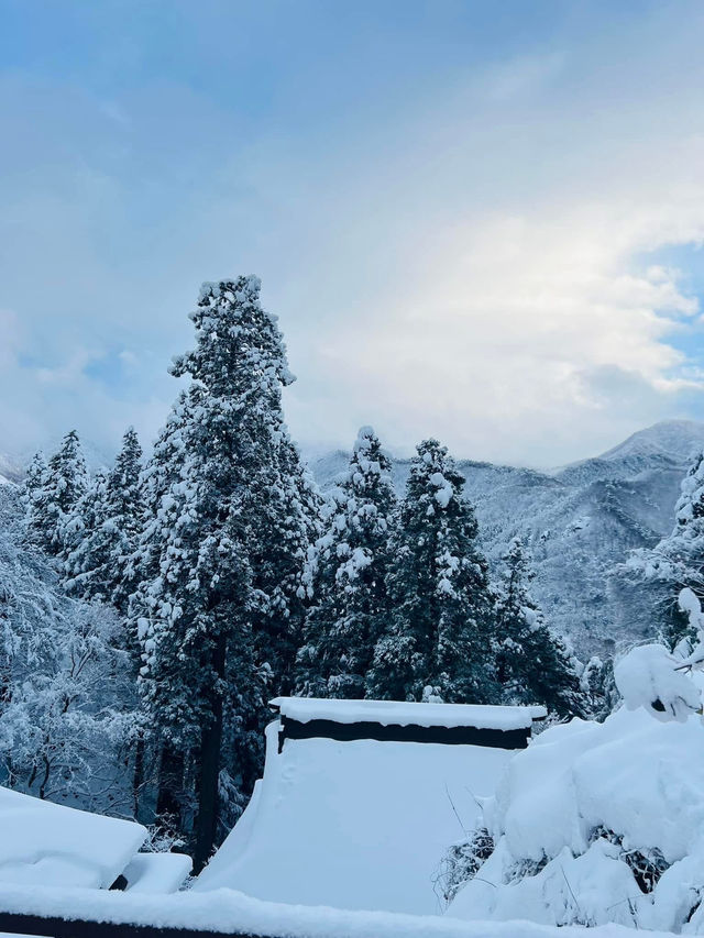 Yamadara & Ginzan Onsen
