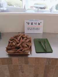 조용하고 분위기 좋은 숲 속 대형카페 🍃