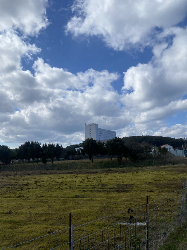 무나카타 가성비 좋은 Mercure Fukuoka Munakata Resort & Spa