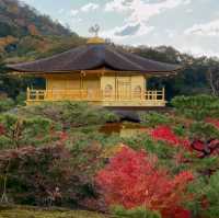 京都好去處