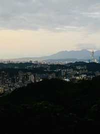 樟山寺漫遊-品茶、賞景與山林靜心之旅
