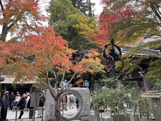 高尾山で紅葉狩り@東京・八王子🍁