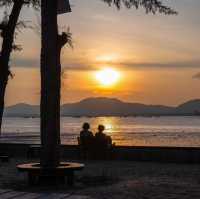 The Mangrove by Blu Monkey ภูเก็ต 
