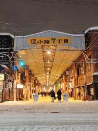 🇯🇵 Winter Magic in Hokkaido: Exploring Sapporo and Otaru’s Snowy Charm