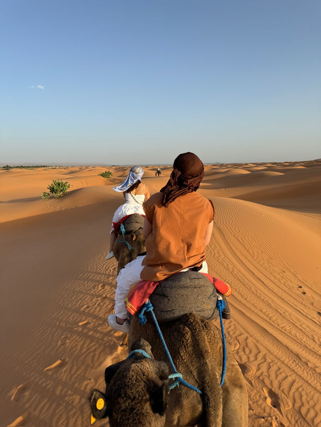 🏜️梅爾祖卡撒哈拉沙漠探險】— 星空、駱駝與金色日出 🌅✨