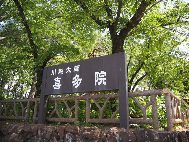 ⛩️ 喜多院｜意外發現的靜謐休憩地