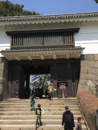 【神奈川・小田原】小田原城🏯