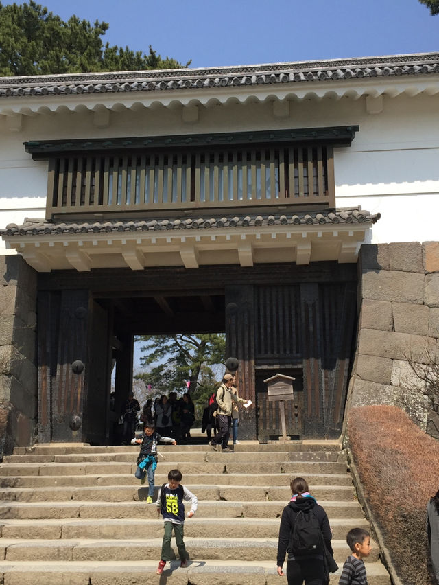 【神奈川・小田原】小田原城🏯