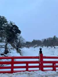 雪降る弘前城、冬の特権雪桜ライトアップ✨