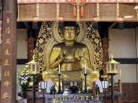 岩手県屈指の観光スポット🤍 【中尊寺】 