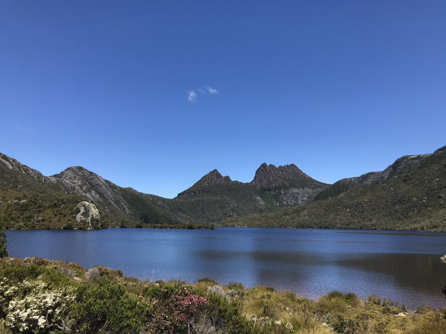 4-Day Tasmania Itinerary: Mountains, Wildlife & Lavender Fields 💜