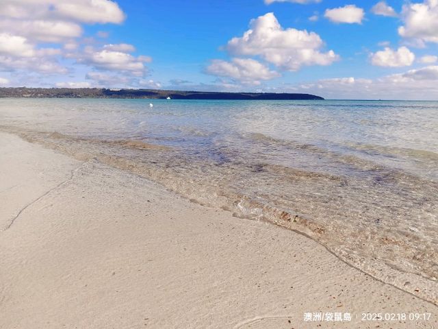 澳洲袋鼠島2種自由行方式