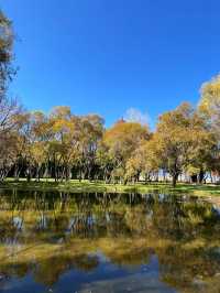 冬日里的大理海舌公園，簡直是人生理想般的美好 ❤️