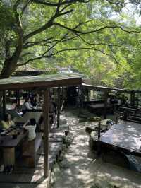 【福岡】森の中でランチ🌳🇯🇵